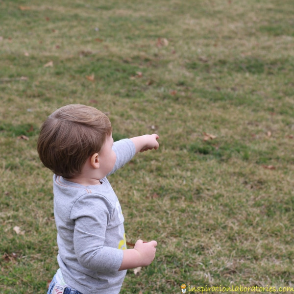 toddler boy pointing to something outside