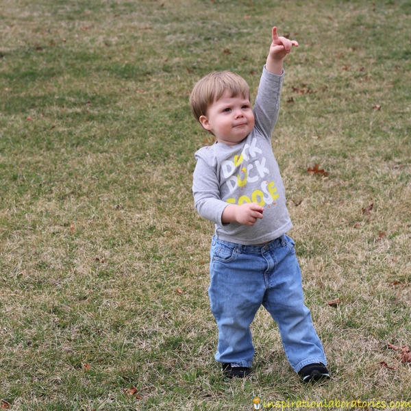 toddler boy pointing up to the sky outside