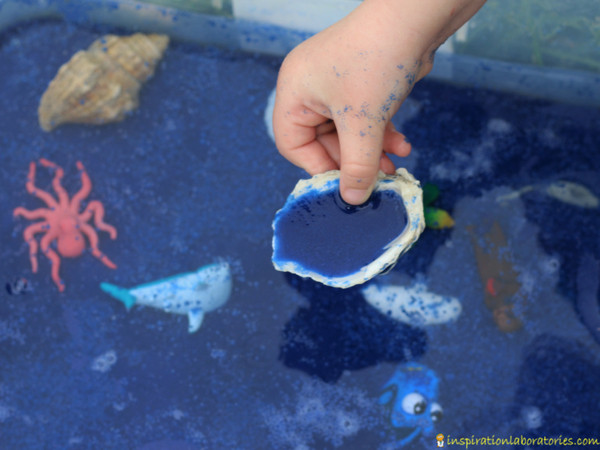 scooping blue sand out of water with a sea shell
