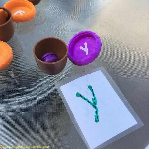 letter y and alphabet acorns