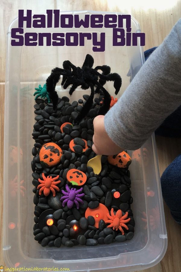 Make a simple Halloween sensory bin.