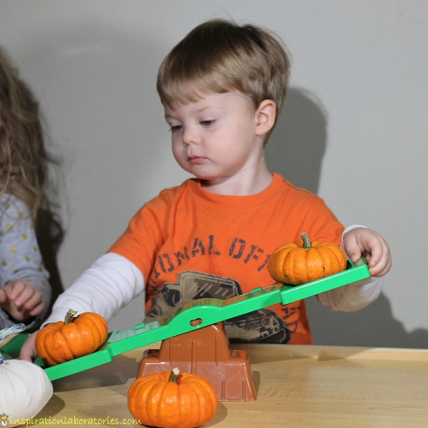 toddler using a balance to weigh mini pumpkins