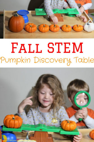 Set up a pumpkin discovery table to measure and weigh pumpkins. Such a fun fall STEM activity for toddlers and preschoolers. It's perfect for an autumn science center.