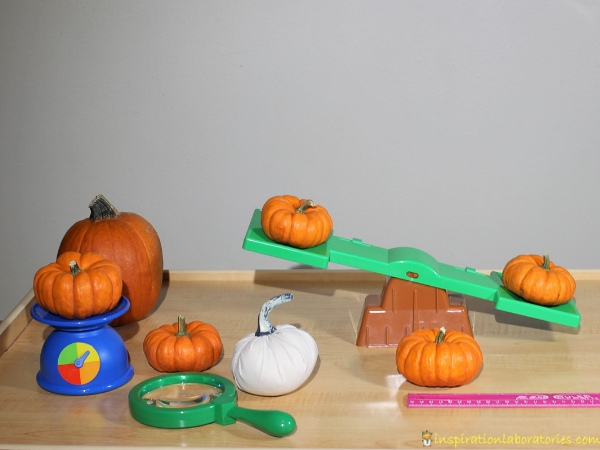 pumpkin discovery table