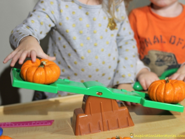 child using a balance to weigh mini pumpkins