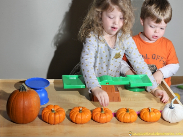child using a balance to weigh mini pumpkins