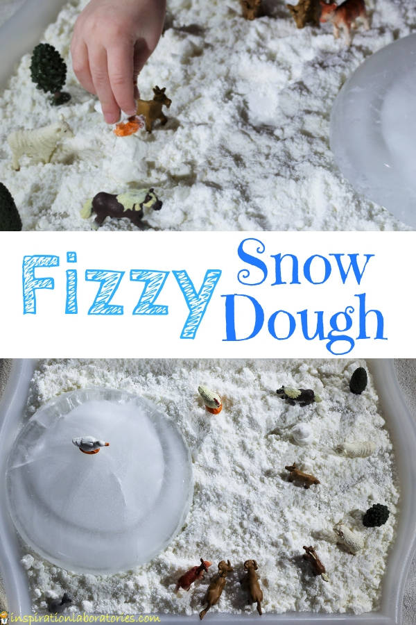 Create a fizzy snow dough sensory bin inspired by The Snowy Nap by Jan Brett. The farm animals are headed out to play on the icy pond and snowy ground. The snow dough is soft and moldable.