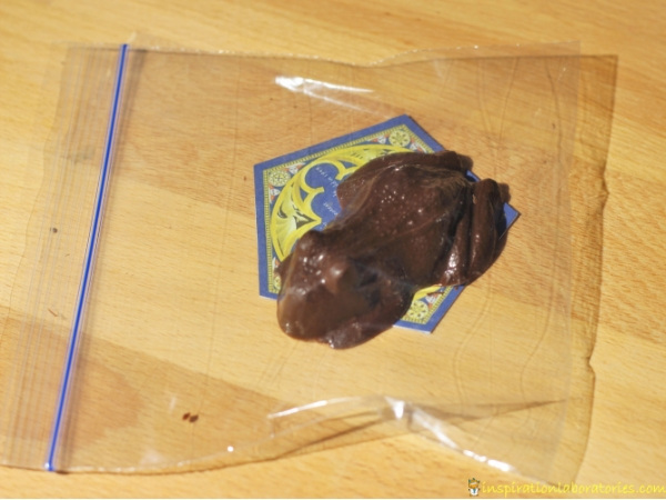 Harry Potter inspired chocolate frogs with wizard trading card