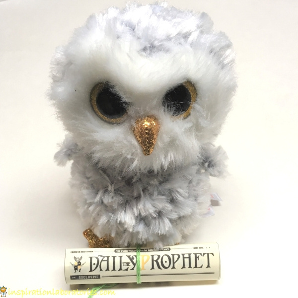 Harry Potter birthday party - owls with thank you note