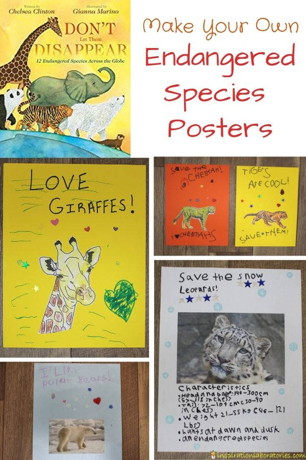Endangered Species Poster Project | Inspiration Laboratories