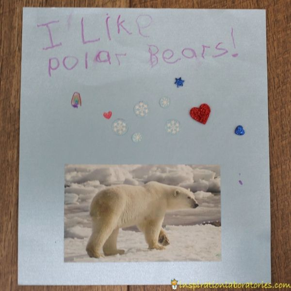 endangered species polar bear posters with photo of polar and text "I like polar bears!"