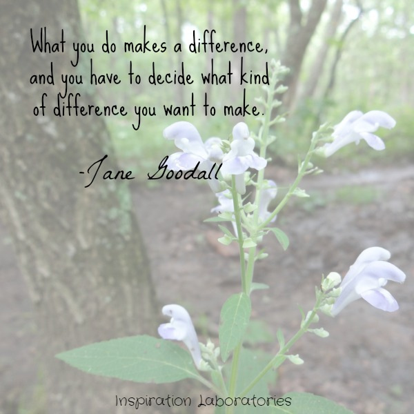 Jane Goodall quote: What you do makes a difference, and you have to decide what kind of difference you want to make.