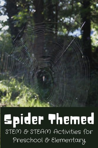 cover photo for spider themed STEM & STEAM activities for preschool & elementary