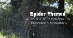 spider STEM fb