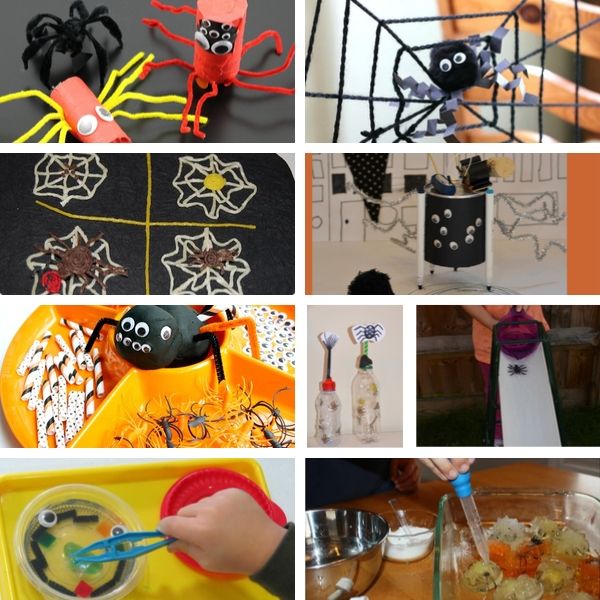 collection of spider science activities