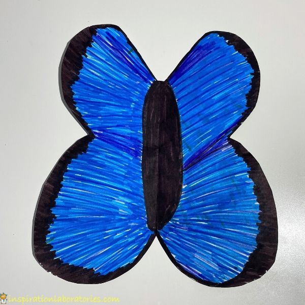 paper blue and black butterfly
