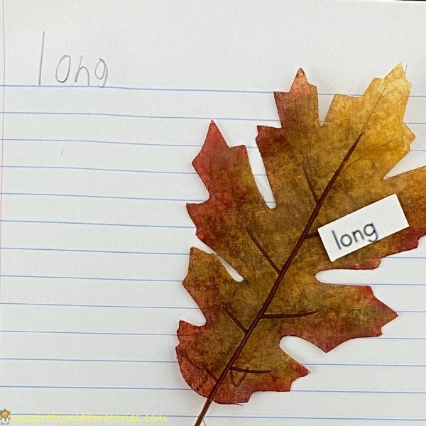Sight word "long" printed on fabric leaf with the word long handwritten on a piece of notebook paper.