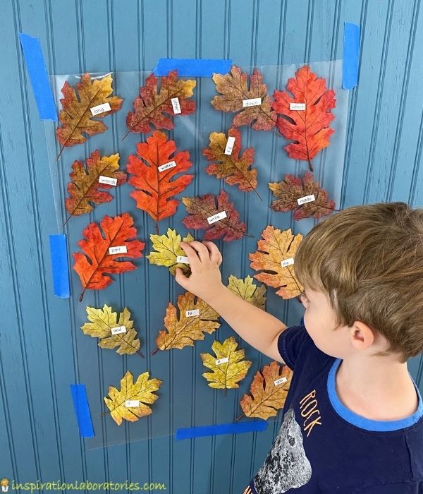 Child choosing a sight word leaf from the leaf sticky wall.