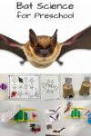 Bat-Science