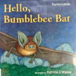 bumblebee-bat